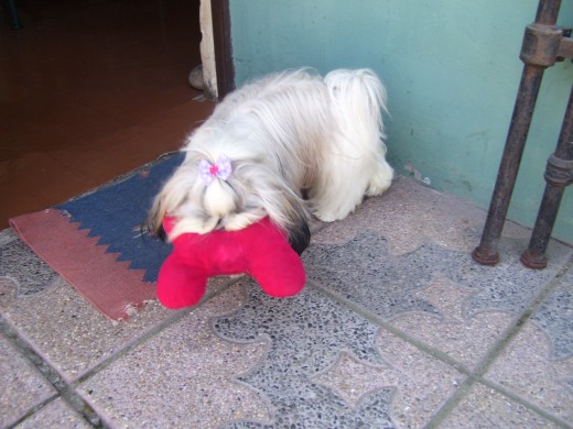 hay mi huesooooooo
